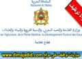وزارة الفلاحة والصيد البحري والتنمية القروية والمياه والغابات – قطاع الفلاحة: مباريات توظيف 197 مناصب . آخر أجل هو 15 يناير 2024