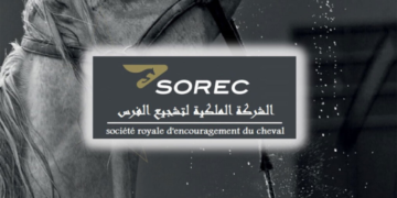 الشركة الملكية لتشجيع الفرس: مبارتي توظيف 1 مسؤول عن توالد وتربية الخيول و1 مكلف بإدارة السباقات