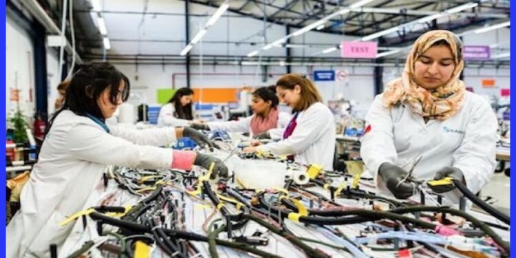تشغيل 200 عامل بقطاع الكابلاج بدون شهادة او دبلوم