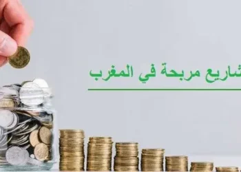 تعرَّف على أفضل 30 مشروعًا مربحًا في المغرب لعام 2023