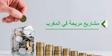 تعرَّف على أفضل 30 مشروعًا مربحًا في المغرب لعام 2023