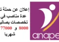 الانابيك: تعلن عن حملة توظيف في عدة تخصصات صالير بين 8000 و 77000 درهم شهريا