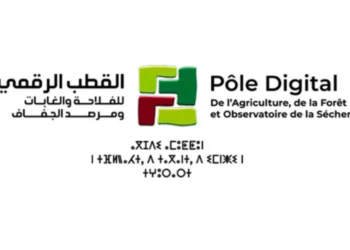 Le Pôle Digital recrute des Stagiaires (PFE) Rémunérés