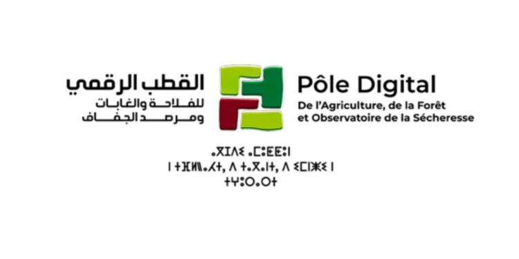 Le Pôle Digital recrute des Stagiaires (PFE) Rémunérés