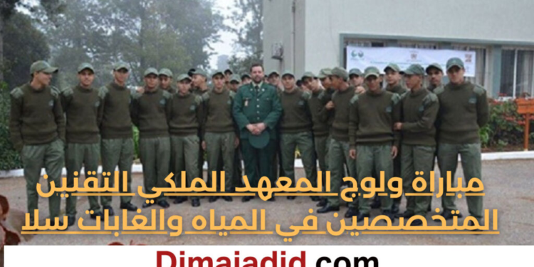 للشباب بين 18 و40 سنة ذكور وإناث إليكم شروط ومتطلبات ولوج المعهد الملكي للتقنيين المتخصصين في المياه والغابات 2024