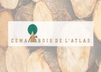 Cema Bois de l’Atlas recrute Plusieurs Profils