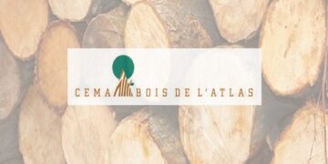 Cema Bois de l’Atlas recrute Plusieurs Profils
