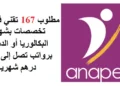 مطلوب 167 تقني في عدّة تخصصات بشهادة البكالوريا أو الدبلوم برواتب تصل إلى 6000 درهم شهرياً