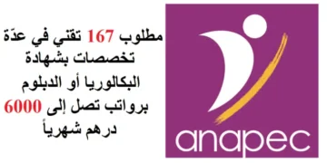 مطلوب 167 تقني في عدّة تخصصات بشهادة البكالوريا أو الدبلوم برواتب تصل إلى 6000 درهم شهرياً