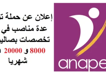 خبر سار للطلبة بالدبلوم، الاجازة والماسترتوظيف في عدة تخصصات بصالير بين 8000 و 20000 درهم شهريا