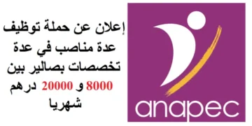 خبر سار للطلبة بالدبلوم، الاجازة والماسترتوظيف في عدة تخصصات بصالير بين 8000 و 20000 درهم شهريا