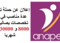خبر سار للطلبة بالدبلوم، الاجازة، صالير بين 8000 و 30000 درهم شهريا إعلان عن حملة توظيف في عدة تخصصات