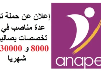 خبر سار للطلبة بالدبلوم، الاجازة، صالير بين 8000 و 30000 درهم شهريا إعلان عن حملة توظيف في عدة تخصصات
