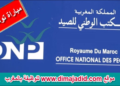 مباراة توظيف 06 منصب بالمكتب الوطني للصيد. آخر أجل هو 03 أبريل 2024