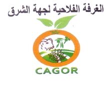 الغرفة الفلاحية لجهة الشرق: مباراة توظيف 02 تقنين من الدرجة الثالثة. آخر أجل هو 05 يونيو 2024