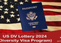 Résultats DV Lottery 2025 : Vérifiez Votre Statut Visa de Diversité