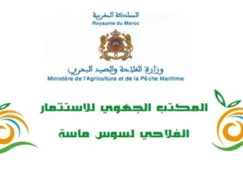 الدبلوم – الاجازة – الماستر … مباراة توظيف 20 منصب بالمكتب الجهوي للاستثمار الفلاحي لسوس ماسة 2024