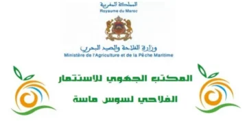 الدبلوم – الاجازة – الماستر … مباراة توظيف 20 منصب بالمكتب الجهوي للاستثمار الفلاحي لسوس ماسة 2024
