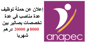 خبر سار للطلبة توظيف في عدة تخصصات بصالير بين 8000 و 20000 درهم شهريا
