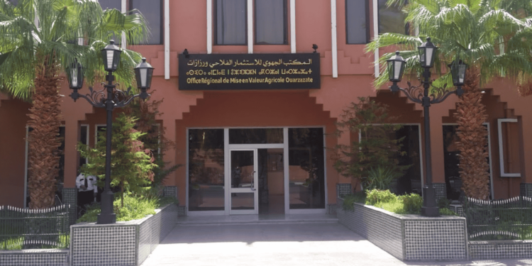 المكتب الجهوي للاستثمار الفلاحي لورزازات: مباراة لتوظيف (11) تقني من الدرجة الثالثة و(05) تقنيين من الدرجة الرابعة و(04) مهندسي الدولة، آخر أجل هو 09 يوليوز 2024