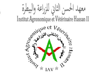 Concours de Recrutement IAV Hassan II 2024 (6 Postes)