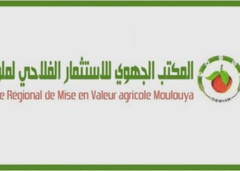 مباراة توظيف 20 منصب بالمكتب الجهوي للاستثمار الفلاحي لملوية. آخر أجل هو 21 يونيو 2024