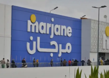 Marjane Group Lance Plusieurs Opportunités de Recrutement