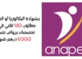 بشهادة البكالوريا أو الدبلوم … مطلوب 130 تقني في عدّة تخصصات برواتب تصل إلى 6000 درهم شهرياً