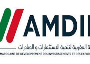 مباراة توظيف 10 مناصب بالوكالة المغربية لتنمية الاستثمارات والصادرات. الترشيح قبل 30 غشت 2024