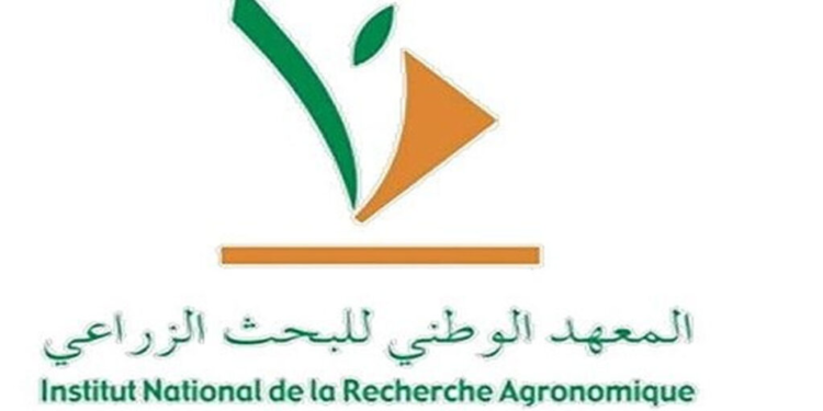 المعهد الوطني للبحث الزراعي: مباراة توظيف مكلف بالبحث من الدرجة الأولى، متصرف من الدرجة 2 وتقنيان من الدرجة 3. آخر أجل 08 نونبر 2024