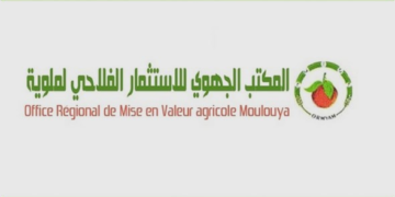 مباراة توظيف 04 مناصب بالمكتب الجهوي للاستثمار الفلاحي لملوية. آخر أجل هو 18 أكتوبر 2024 
