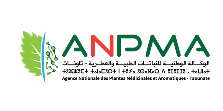 مباراة توظيف 4 مناصب بالوكالة الوطنية للنباتات الطبية والعطرية، آخر أجل هو 01 دجنبر 2024