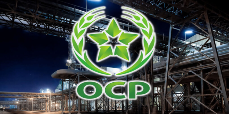 OCP recrute emploi