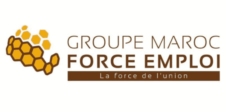 Maroc Force Emploi Recrute Plusieurs Profils (25 Postes)
