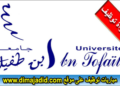 لائحة المدعوين لإجراء مباراة لتوظيف (46 منصب) بجامعة ابن طفيل – القنيطرة، ستجرى يوم 10 نونبر 2024