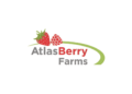Offre d’emploi: Atlas Berry Farms recrute (12) Postes de Chef d’Équipe