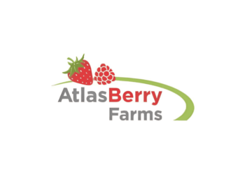 Offre d’emploi: Atlas Berry Farms recrute (12) Postes de Chef d’Équipe