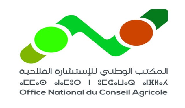 لائحة المدعوين لإجراء شفوي مباراة توظيف 52 منصب بالمكتب الوطني للإستشارة الفلاحية