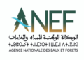 مباراة توظيف 4 تقنيين من الدرجة الثالثة بالوكالة الوطنية للمياه والغابات، آخر أجل 30 أبريل 2025