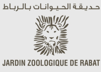 تعلن شركة حديقة الحيوانات بالرباط عن مباراة توظيف 6 مناصب، الترشيح قبل 13 ماي 2025