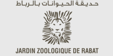 تعلن شركة حديقة الحيوانات بالرباط عن مباراة توظيف 6 مناصب، الترشيح قبل 13 ماي 2025