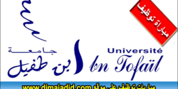تعلن جامعة ابن طفيل القنيطرة عن مباراة توظيف 15 منصب بتخصصات مختلفة، آخر أجل هو 26 يوليوز 2025