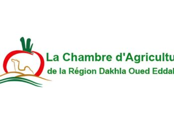 الغرفة الفلاحية لجهة الداخلة وادي الذهب: مباراة توظيف 3 مناصب (Bac+2/3)