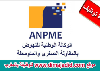 مباراة توظيف 15 منصب بالوكالة الوطنية للنهوض بالمقاولات الصغرى والمتوسطة في عدة درجات وتخصصات، الترشيح قبل 18 شتنبر 2025