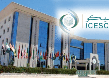 icesco emploi