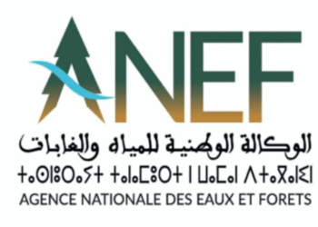 الوكالة الوطنية للمياه والغابات: مباراة توظيف 20 سائق، آخر أجل 18 نونبر 2025