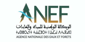 الوكالة الوطنية للمياه والغابات: مباراة توظيف 20 سائق، آخر أجل 18 نونبر 2025