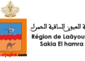 تعلن المجالس الإقليمية لجهة العيون الساقية الحمراء عن مباراة توظيف 28 منصب، آخر أجل للترشيح هو 17 دجنبر 2025 