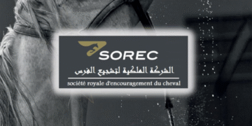 تنظم الشركة الملكية لتشجيع الفرس مباريات توظيف (4) منصب بتخصصات مختلفة (4/Bac+2/3)