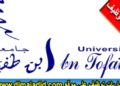 تعلن جامعة ابن طفيل القنيطرة عن مباراة توظيف 6 مناصب – الأطر الإدارية والتقنية، آخر أجل هو 1 يوليوز 2026